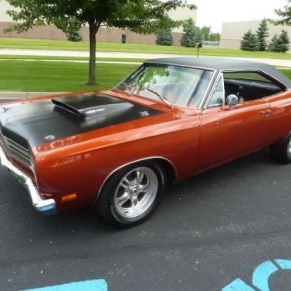 Meet your Posher, Albert - Picture 1 of 1